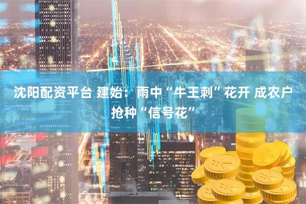 沈阳配资平台 建始：雨中“牛王刺”花开 成农户抢种“信号花”